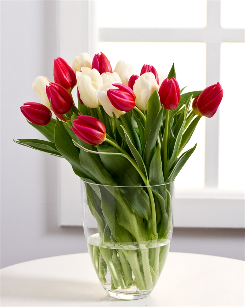 https://testmedia.cloudidd.com/media/test-mediaprint/255151.jpg